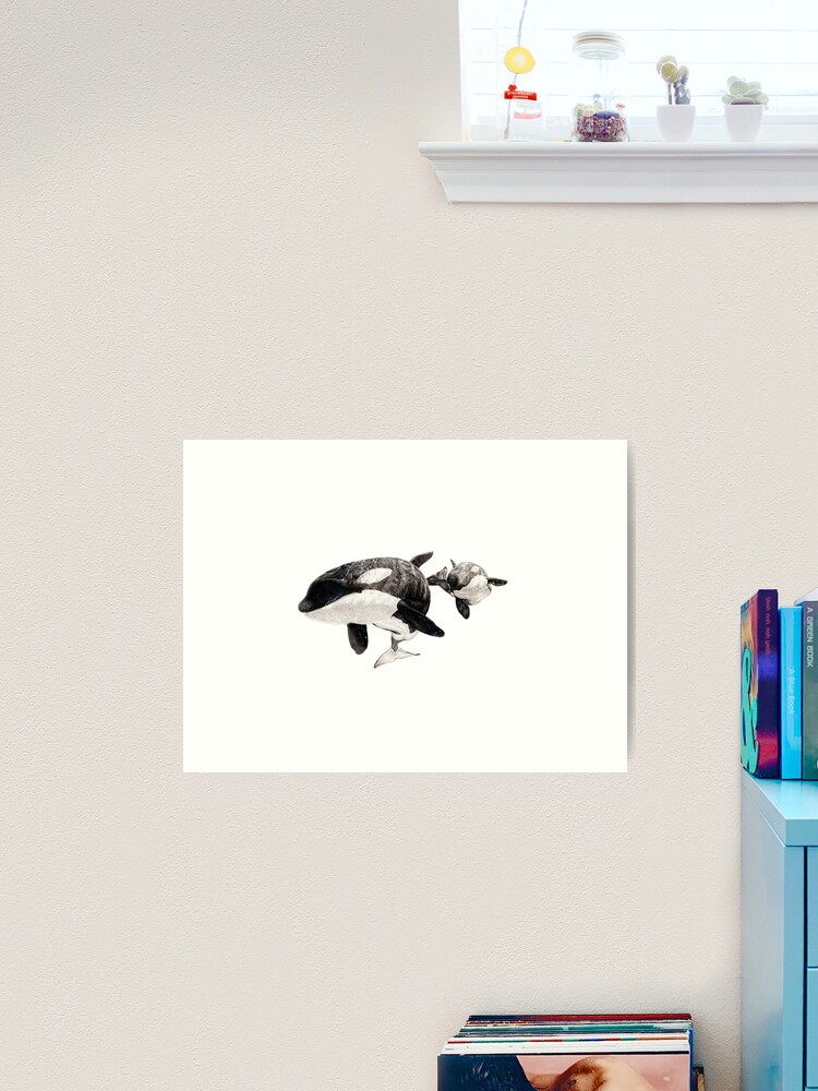 Original Katina and Taku Drawing, Killer Whale Drawing, Orca authentic Illustration, Color Pencil Drawing