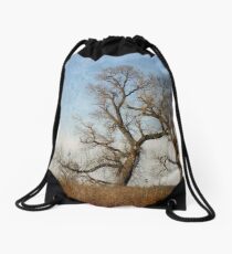 Winter Trees Drawstring Bag