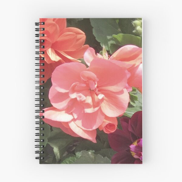 Item preview, Pelargonium designed and sold by eden1472.