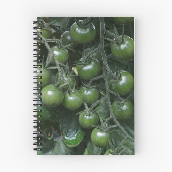 Item preview, Solanum lycopersicum in Green designed and sold by Yampimon.