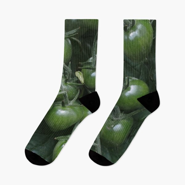 Item preview, Solanum lycopersicum in Green designed and sold by Yampimon.