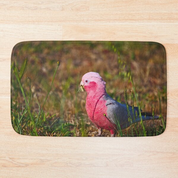 Item preview, A Pink And Grey Galah Munching On Grass Seeds At Dawn designed and sold by Jason Gilbert.