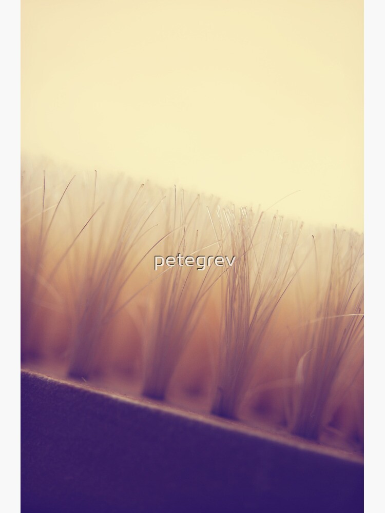 Day 48 - 27th August 2011 by petegrev