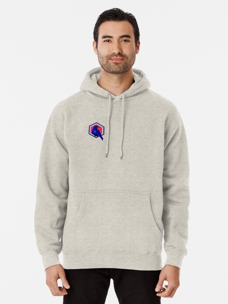 ravens pullover sweatshirt