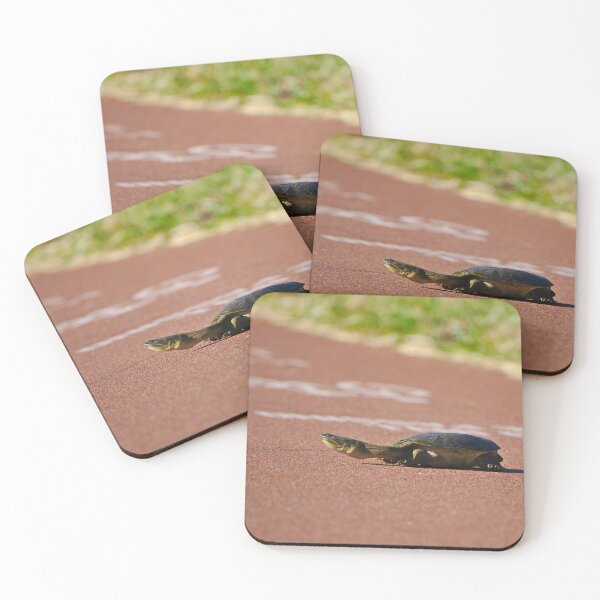 Item preview, A Long Neck Turtle AKA The Oblong Turtle designed and sold by Jason Gilbert.