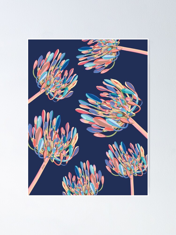 Agapanthus PP/Warm Blush/Navy | Poster