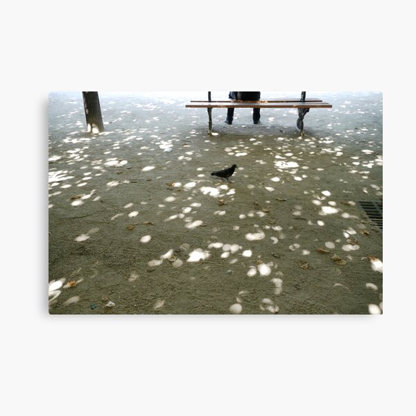 an afternoon in the park Canvas Print