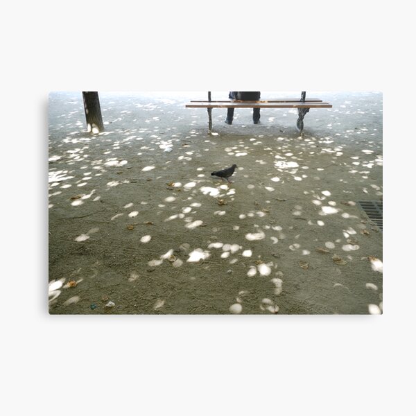 an afternoon in the park Metal Print