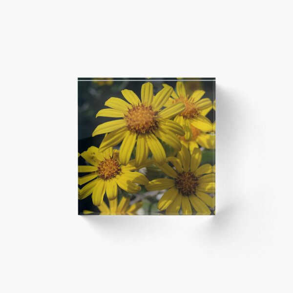 Item preview, A Bunch Of Yellow Flowers designed and sold by cbpphotography.
