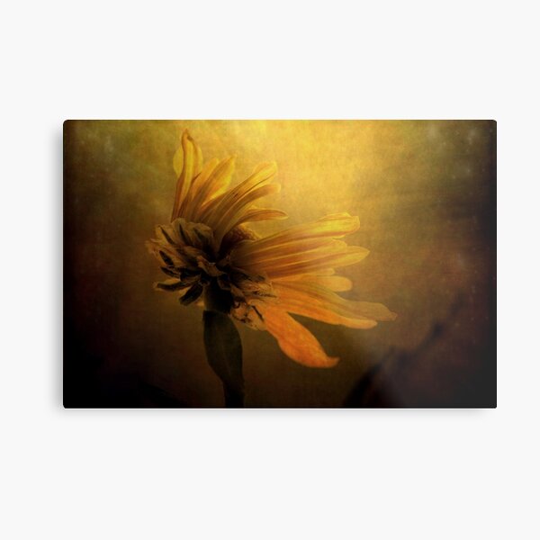 The Sun Worshiper Metal Print