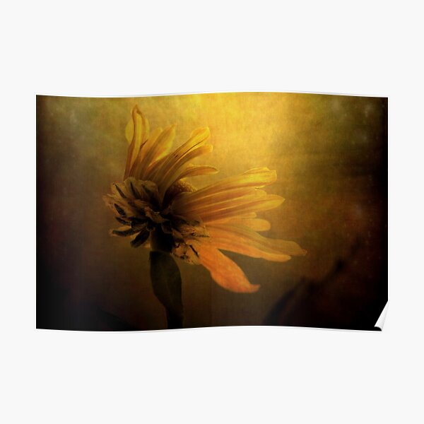 The Sun Worshiper Poster