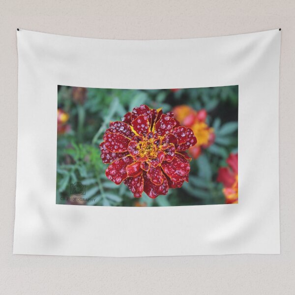 Item preview, raindrops on a flower designed and sold by cbpphotography.