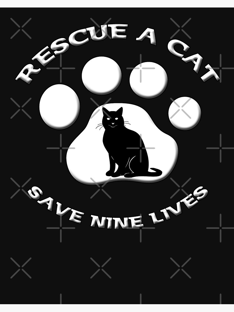 9 lives cat rescue fashion