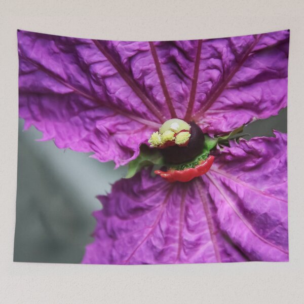 Item preview, Dalechampia Dioscoreifolia a.k.a Bow Tie Vine, Costa Rican Butterfly Vine, & Purple Wings   designed and sold by heatherfriedman.
