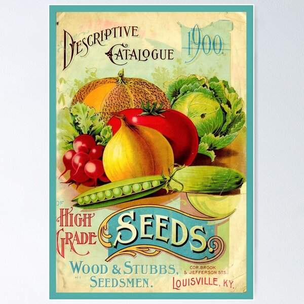 Item preview, Vintage seed catalogue image designed and sold by norah1579.