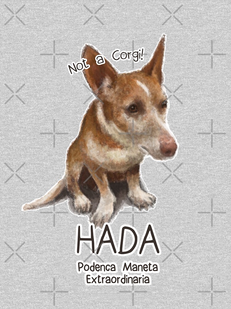 Hada the Podenca Maneta by elspethrose