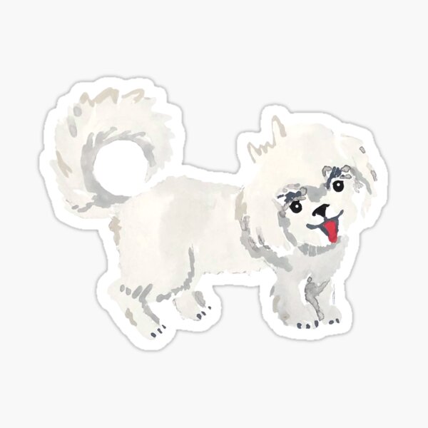 Maltese Dog Illustration Sticker
