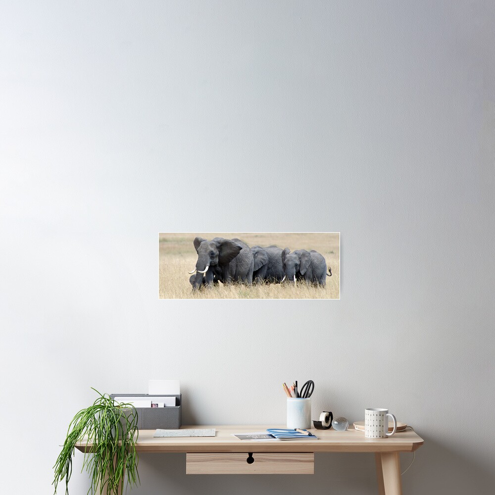 The Herd Poster