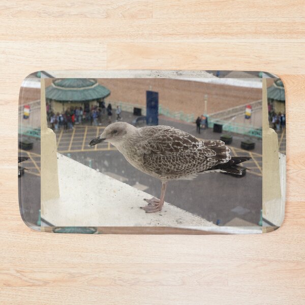 Item preview, Seagull begging designed and sold by pinkal.