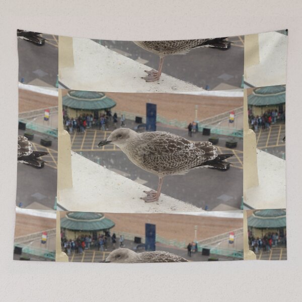 Item preview, Seagull begging designed and sold by pinkal.