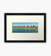BEACH TRANSPORT Framed Print