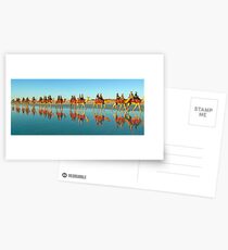 BEACH TRANSPORT Postcards