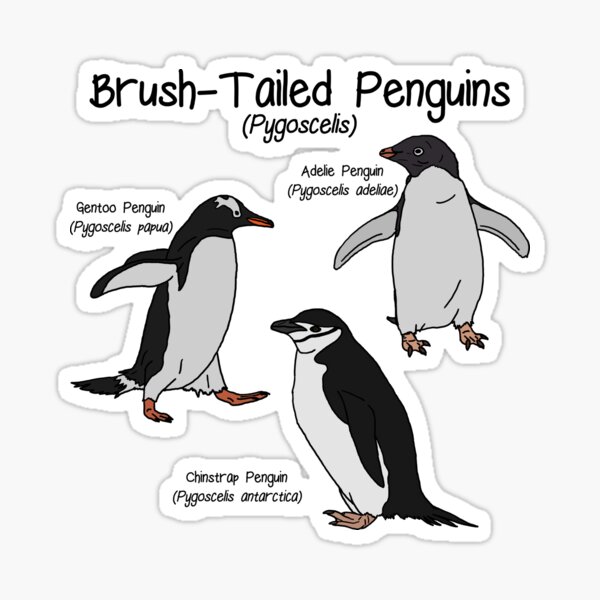 Item preview, Brush-Tailed Penguins designed and sold by GraceT26.