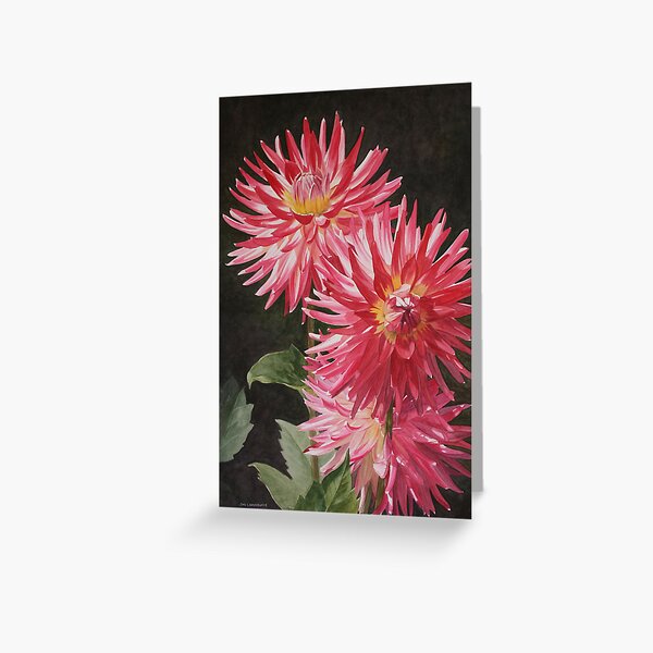 In Founder's Park Greeting Card