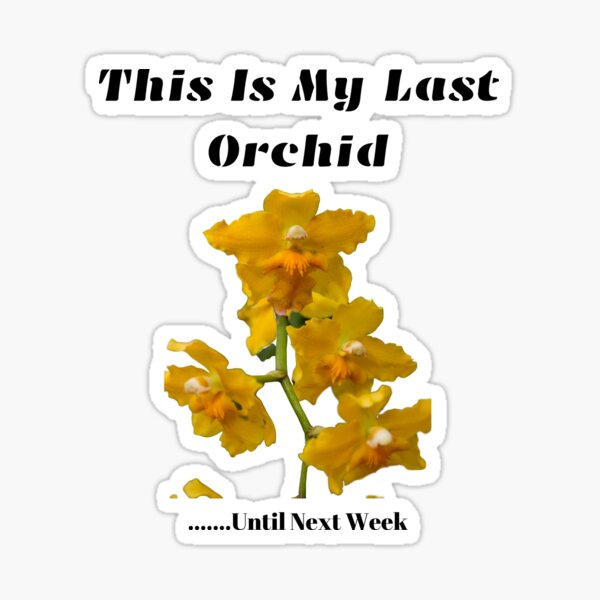 Funny This is My Last Orchid Sticker
