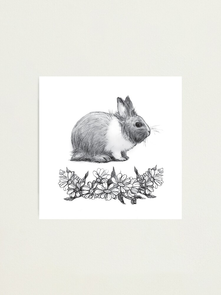 Rabbit Monochrome Pen Drawing Vector Illustration Stock Illustration -  Download Image Now - Rabbit - Animal, Year Of The Rabbit, Lagomorphs -  iStock