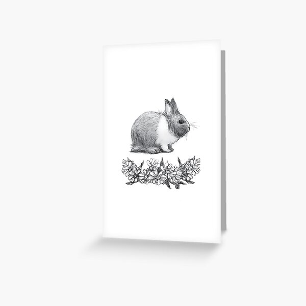 Fluffy the rabbit. Pencil drawing. Greeting Card