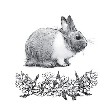 Pencil Drawing Funny Cartoon Character Rabbit Stock Illustration 768678391  | Shutterstock