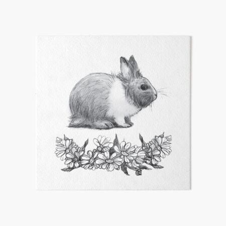 Item preview,  Fluffy the rabbit. Pencil drawing. designed and sold by SVETLANA ZOLOTAREVA.