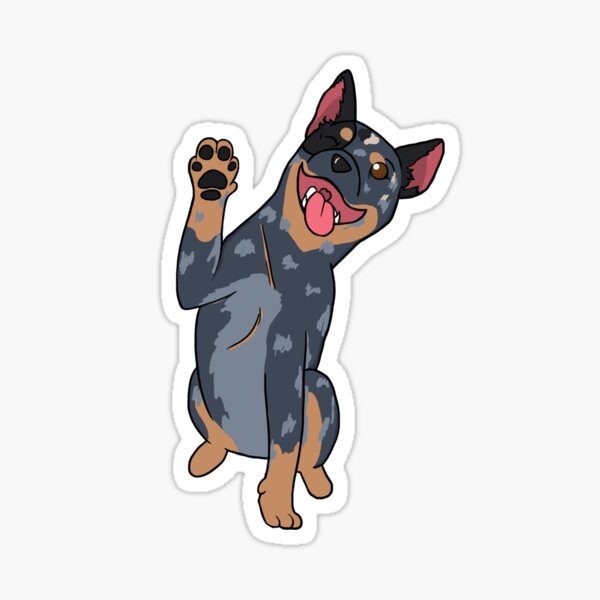 blue heeler accessories