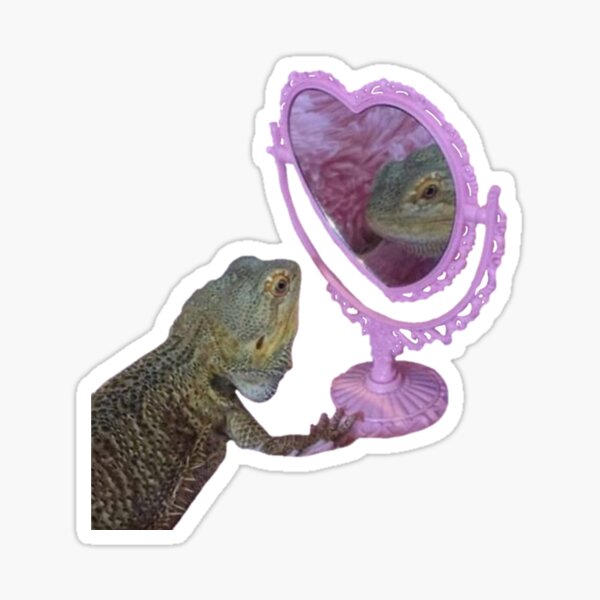 bearded dragon in mirror Sticker