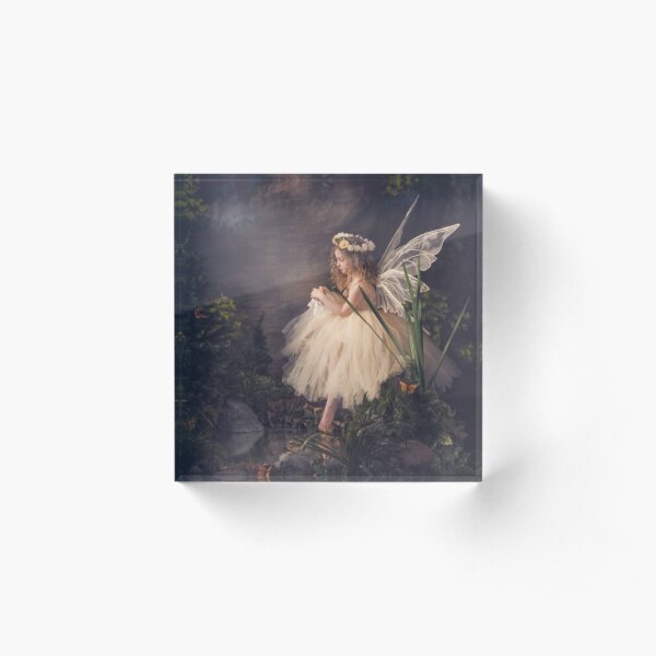 Fairy Acrylic Block