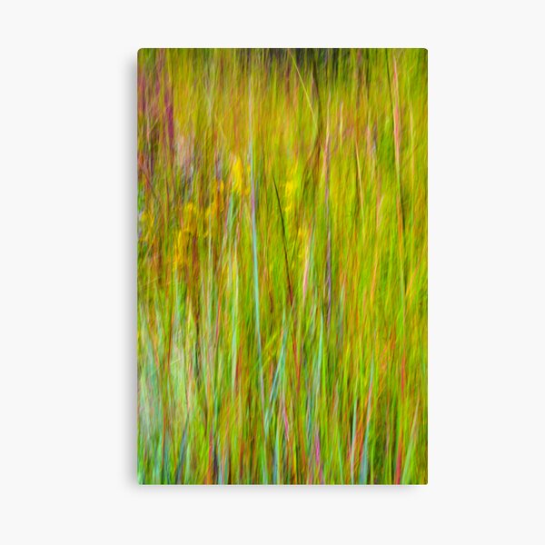 End of Summer Kitty Todd Nature Preserve An Abstract Expressionism Canvas Print