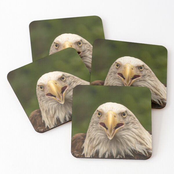 Item preview, Merica designed and sold by -LGM-.