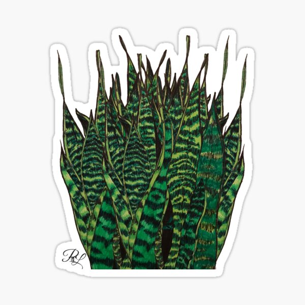 Sanseveria Glossy Sticker