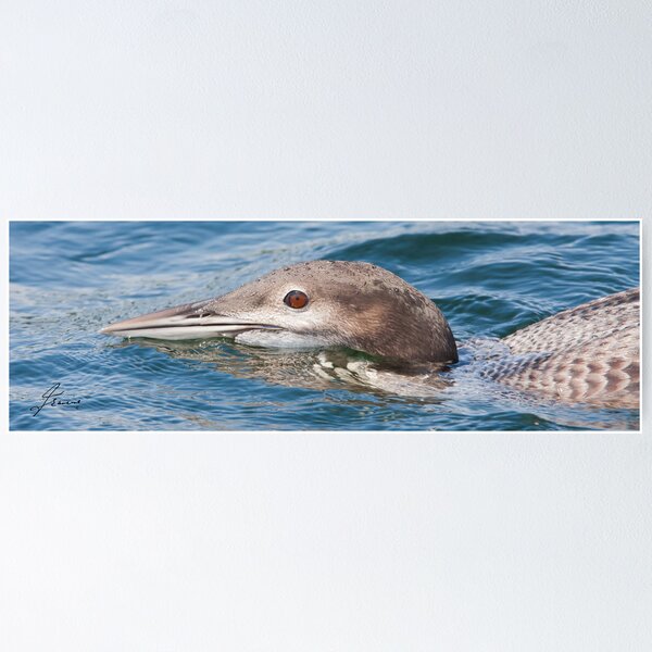 Item preview, Skimming Water  designed and sold by DigitallyStill.