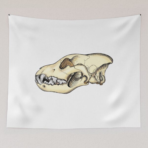 Item preview, Hyena Skull Scientific Illustration Pen and Ink with Digital Watercolor Wash designed and sold by Zit-Zat-Zot.