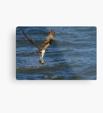 SUCCESSFUL Metal Print