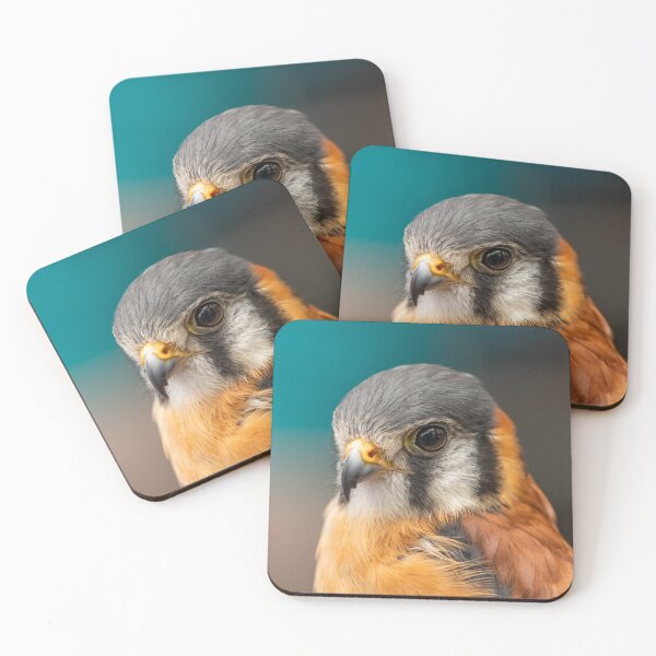 Item preview, Close up of an American Kestral designed and sold by -LGM-.