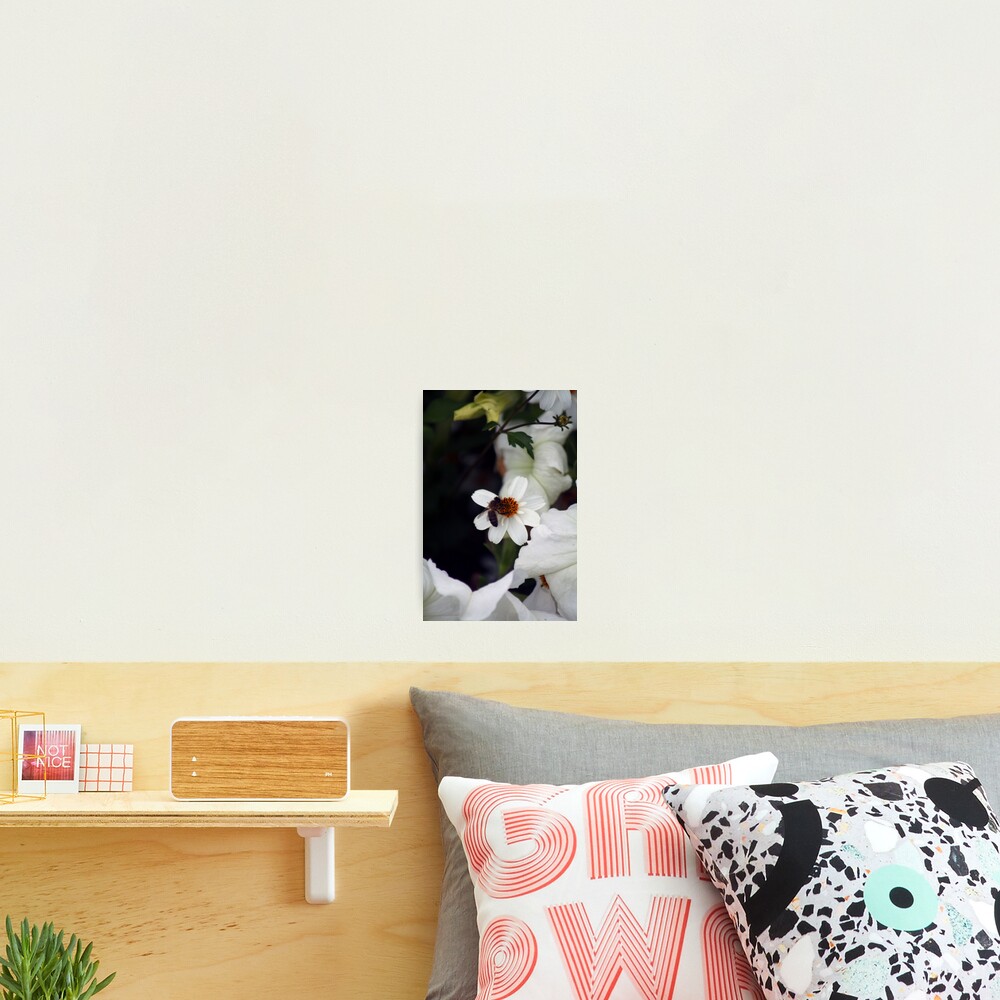 Item preview, Photographic Print designed and sold by Roddy.