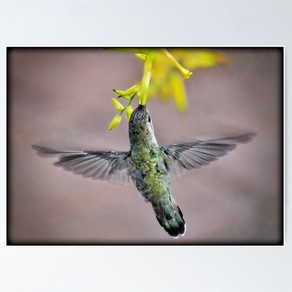 Item preview, Wings of Love designed and sold by Saija  Lehtonen.