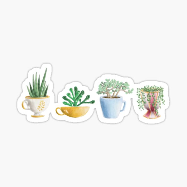 teacup succulents Sticker