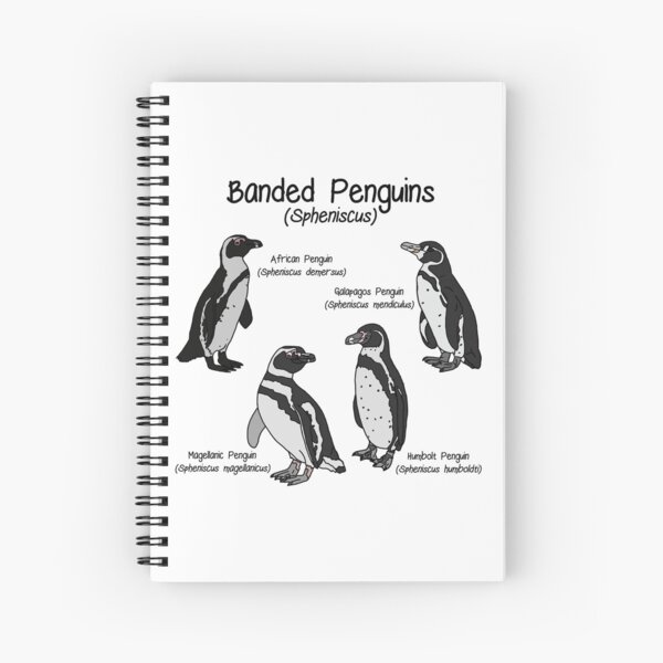 Amazon.com : OTVEE Penguin Animals Pattern Binder Pouches, 2
