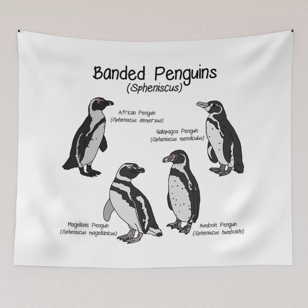 Item preview, Banded Penguins designed and sold by GraceT26.