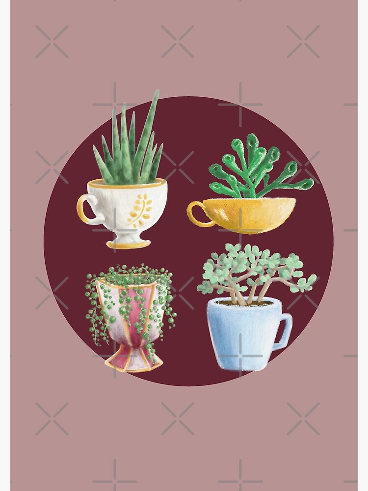 teacup succulents by PicajoArt