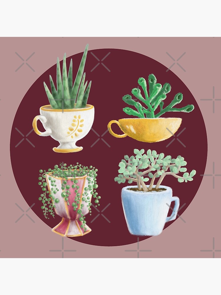 teacup succulents by PicajoArt